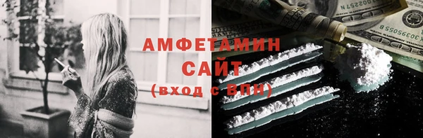 гидра Инта