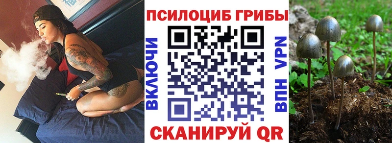 Псилоцибиновые грибы прущие грибы  где найти   Буйнакск 
