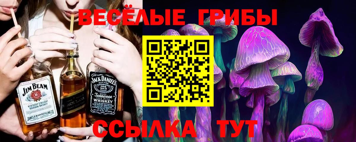 Псилоцибиновые грибы прущие грибы  Псилоцибиновые грибы Magic Shrooms  Вход с VPN  Буйнакск 