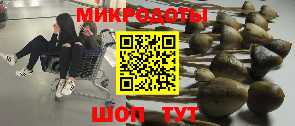 Псилоцибиновые грибы прущие грибы Буйнакск